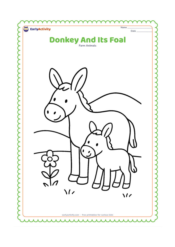 Colouring page: A large donkey gently stands beside a smaller donkey foal in a grassy farm field. Add one simple flower and a low rounded hill in the background.