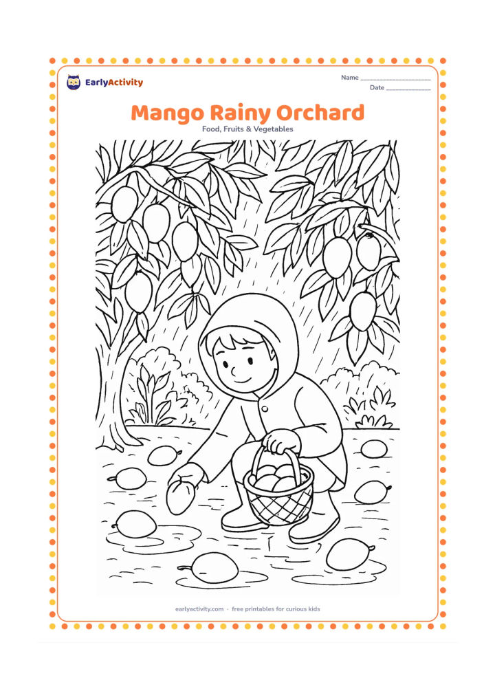 Colouring page: Depict a mango orchard during a gentle monsoon shower, with a child in a raincoat collecting fallen mangoes, puddle reflections and dense leafy branches.