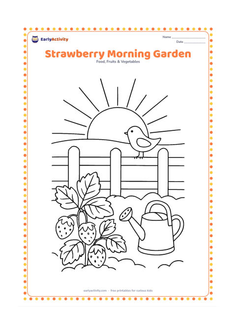 Colouring page: Draw a sunrise behind a garden bed containing several strawberry plants, with a small bird perched on a fence and a watering can nearby.