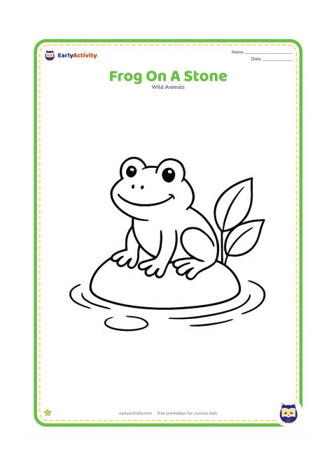 Colouring page: Draw a frog perched on a single large rounded stone in shallow water, with three small ripples and two broad leaves nearby. Face the frog slightly to one side.
