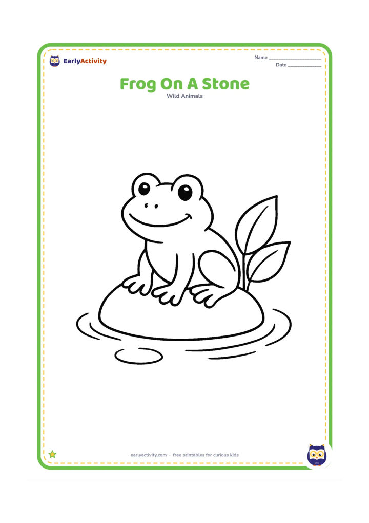 Colouring page: Draw a frog perched on a single large rounded stone in shallow water, with three small ripples and two broad leaves nearby. Face the frog slightly to one side.