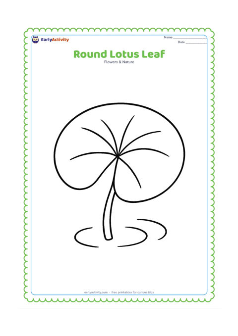 Colouring page: One large round lotus leaf floating on calm pond water, with a simple central stem, a few broad vein lines and two tiny water ripples.