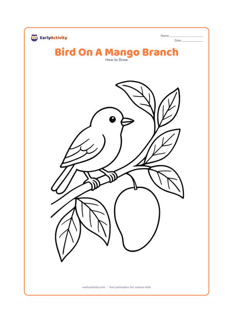 Worksheet: A small bird perches on a mango tree branch surrounded by several large mango leaves and one hanging mango. Show an oval body, folded wing, pointed beak, layered tail and feet wrapped…