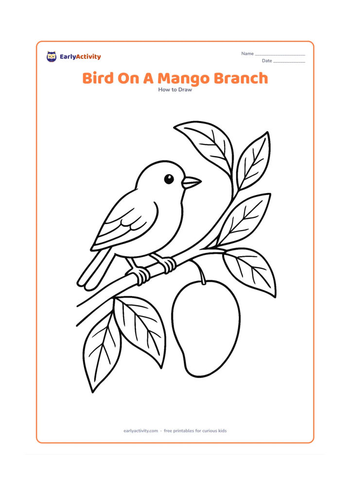 Worksheet: A small bird perches on a mango tree branch surrounded by several large mango leaves and one hanging mango. Show an oval body, folded wing, pointed beak, layered tail and feet wrapped…