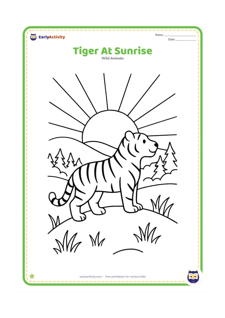 Colouring page: A tiger stands on a low hill as the sun rises behind distant forest trees. Show large sun rays, layered hills, grass, and the tiger looking toward the horizon.