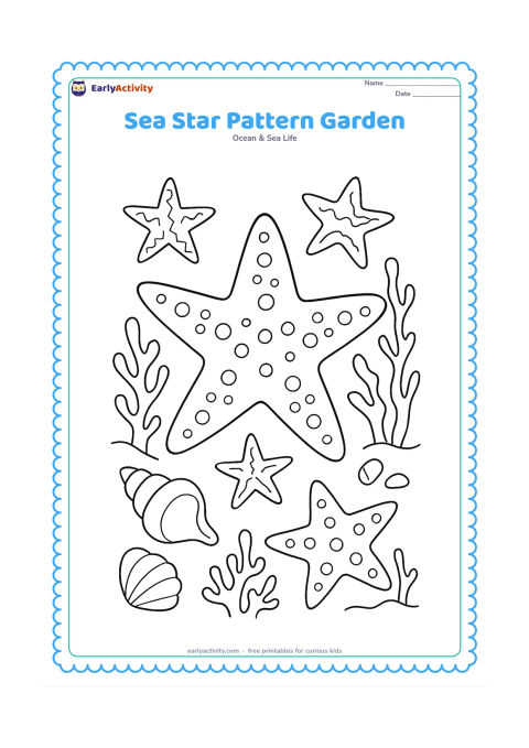 Colouring page: Draw one large starfish surrounded by smaller starfish, shells, coral and seaweed, with each starfish carrying a different simple surface pattern.