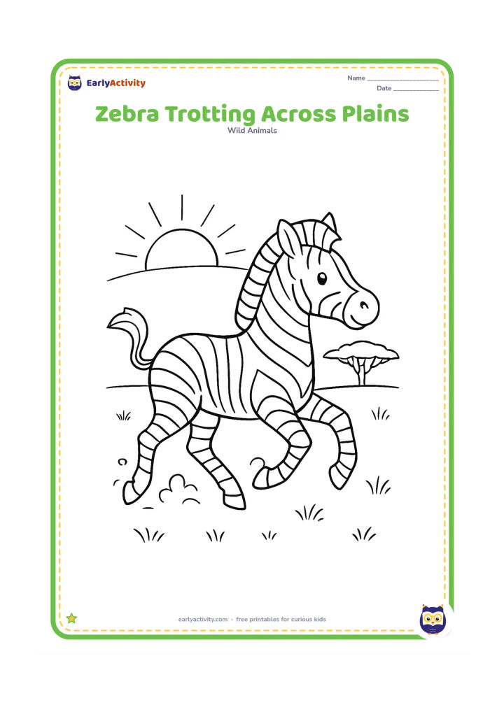 Colouring page: Draw one zebra trotting to the right with its mane and tail flowing slightly. Add a few dust marks, scattered grass, a distant acacia and a rising sun.