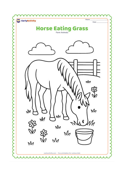 Colouring page: A horse lowers its head to eat grass in a pasture, with visible blades around its muzzle. Add a water bucket, a fence and a few wildflowers in the background.