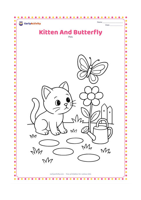Colouring page: A kitten crouches in a garden watching a butterfly above a flowering plant. Add stepping stones, grass tufts, a small fence and a watering can.