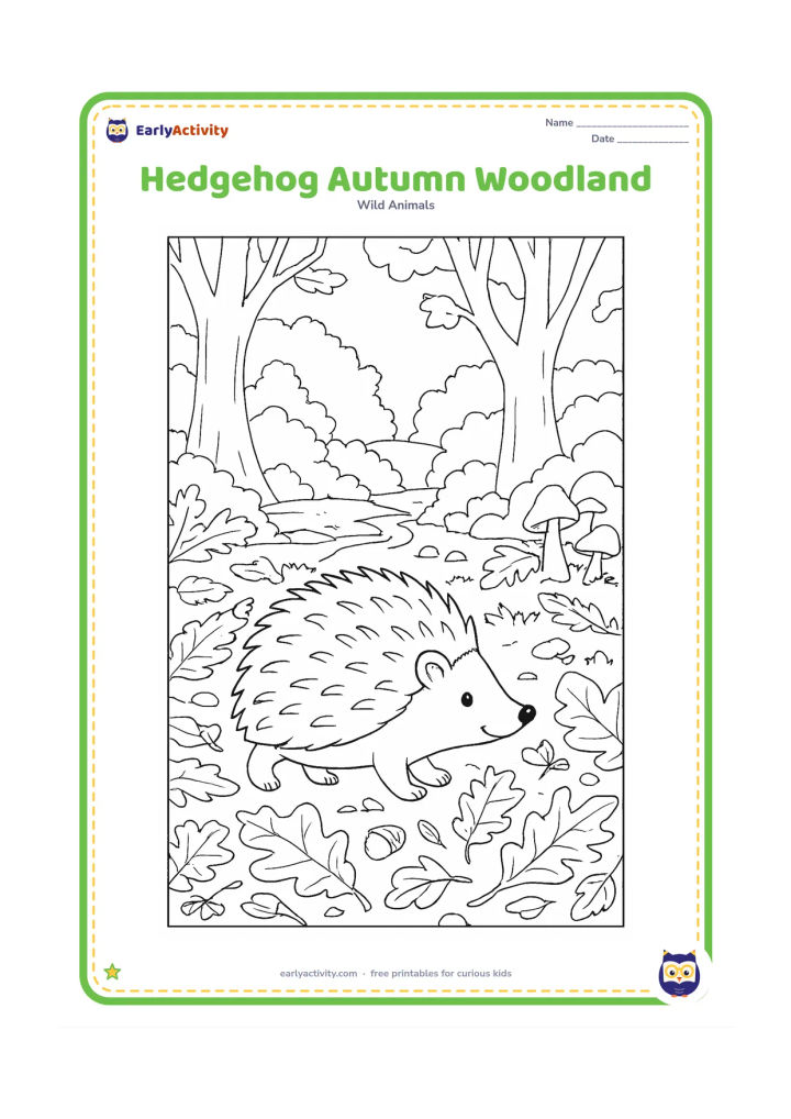 Colouring page: Draw a hedgehog walking through an autumn woodland carpeted with oak leaves, acorns and twigs. Include tree trunks, layered bushes, mushrooms and a small stream in the background.
