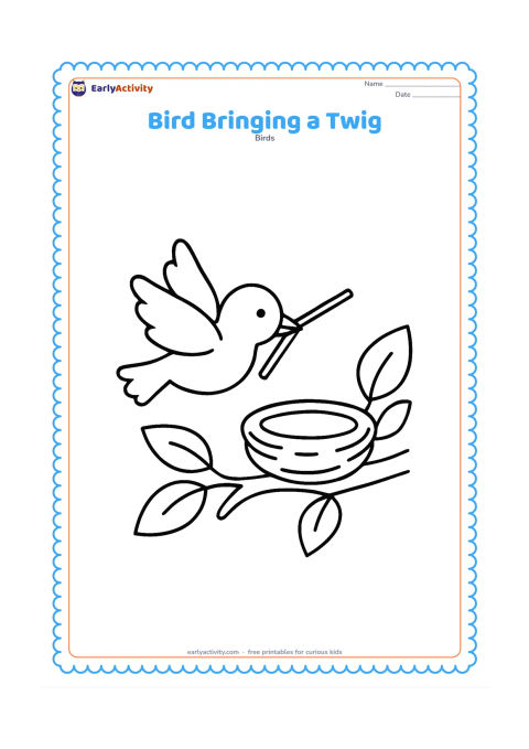 Colouring page: A small parent bird flies toward a nest while holding one long twig in its beak. Show the nest on a branch with a few large leaves nearby.