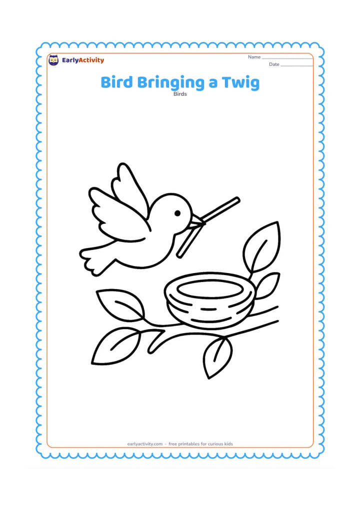 Colouring page: A small parent bird flies toward a nest while holding one long twig in its beak. Show the nest on a branch with a few large leaves nearby.