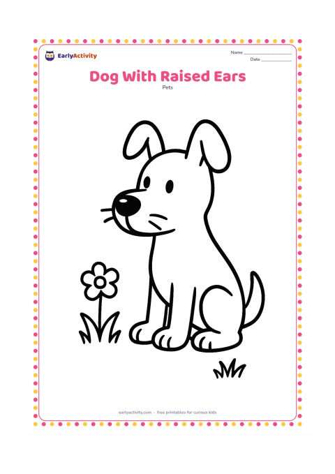 Colouring page: Draw a dog sitting alert with both ears raised, whiskers clearly visible, and its nose pointing toward a small flower. Add two short grass clumps.