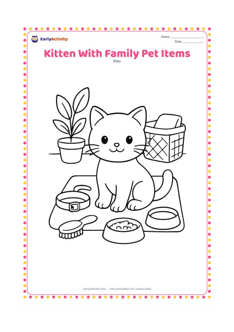 Colouring page: A seated kitten is surrounded by a collar, brush, food bowl, water bowl and soft toy arranged neatly on a mat. Place a small houseplant and storage basket behind it.