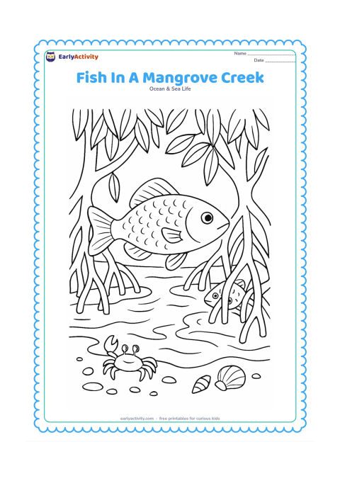 Colouring page: Draw a fish swimming through a mangrove creek with twisting exposed roots, muddy banks, hanging leaves, a small crab, shells and ripples at the water surface. Add a second fish partly…
