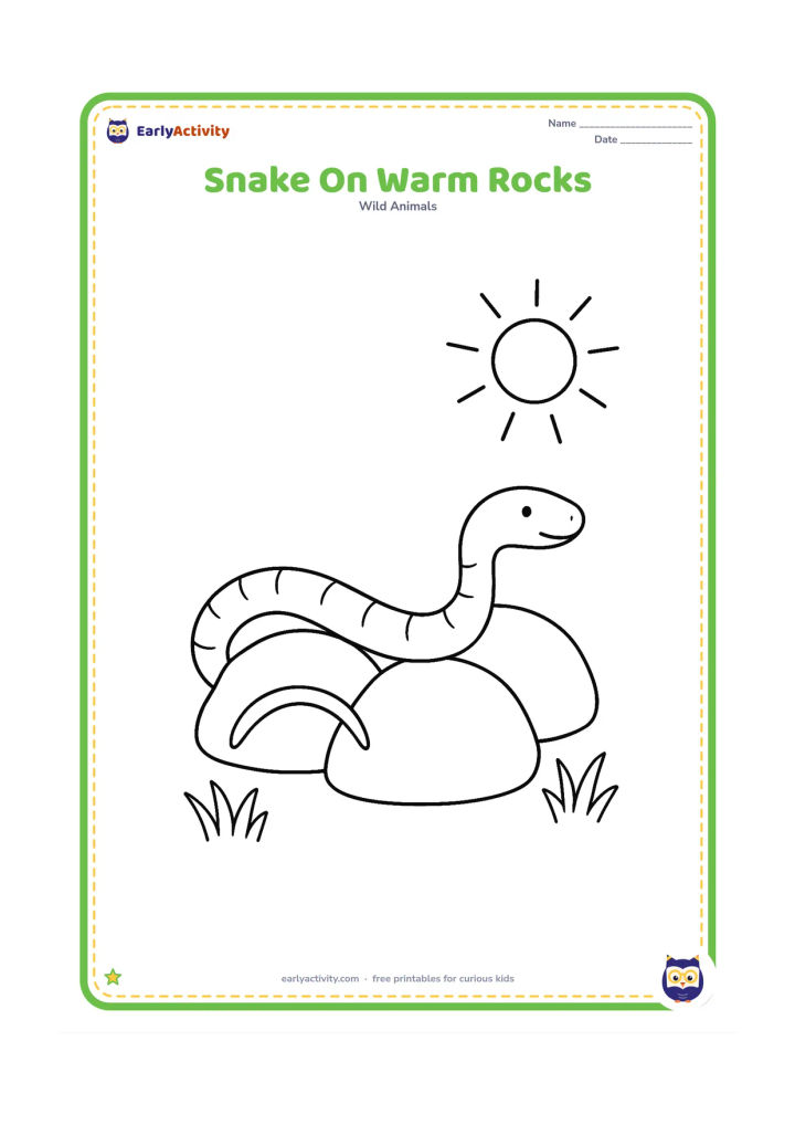 Colouring page: Draw a snake stretched across three rounded rocks, basking in the sunshine, with a simple sun and two tufts of grass in the background. Show the body's gentle curve clearly.