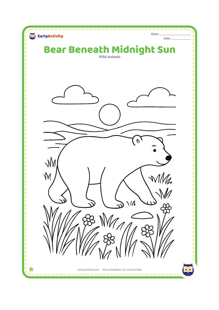 Colouring page: A polar bear walks across a summer Arctic meadow beneath a low sun that remains near the horizon, with wild grasses, small flowers and distant snow patches.