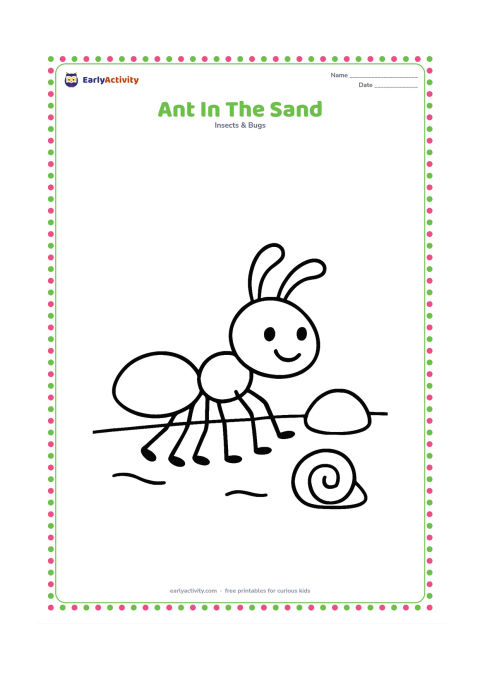 Colouring page: One ant walks across a sandy patch beside a small rounded stone and a simple shell. Show a wide, open background.