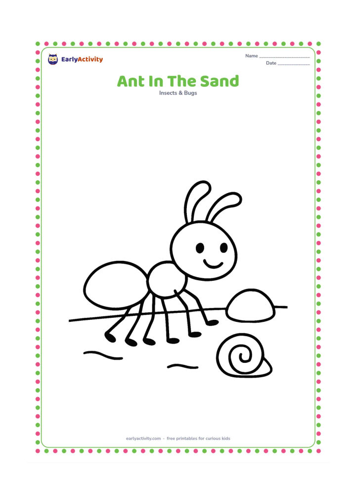 Colouring page: One ant walks across a sandy patch beside a small rounded stone and a simple shell. Show a wide, open background.