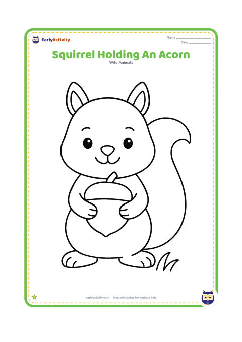 Colouring page: Draw a front-facing squirrel standing upright and holding one oversized acorn with both paws. Add a small patch of grass beneath it.