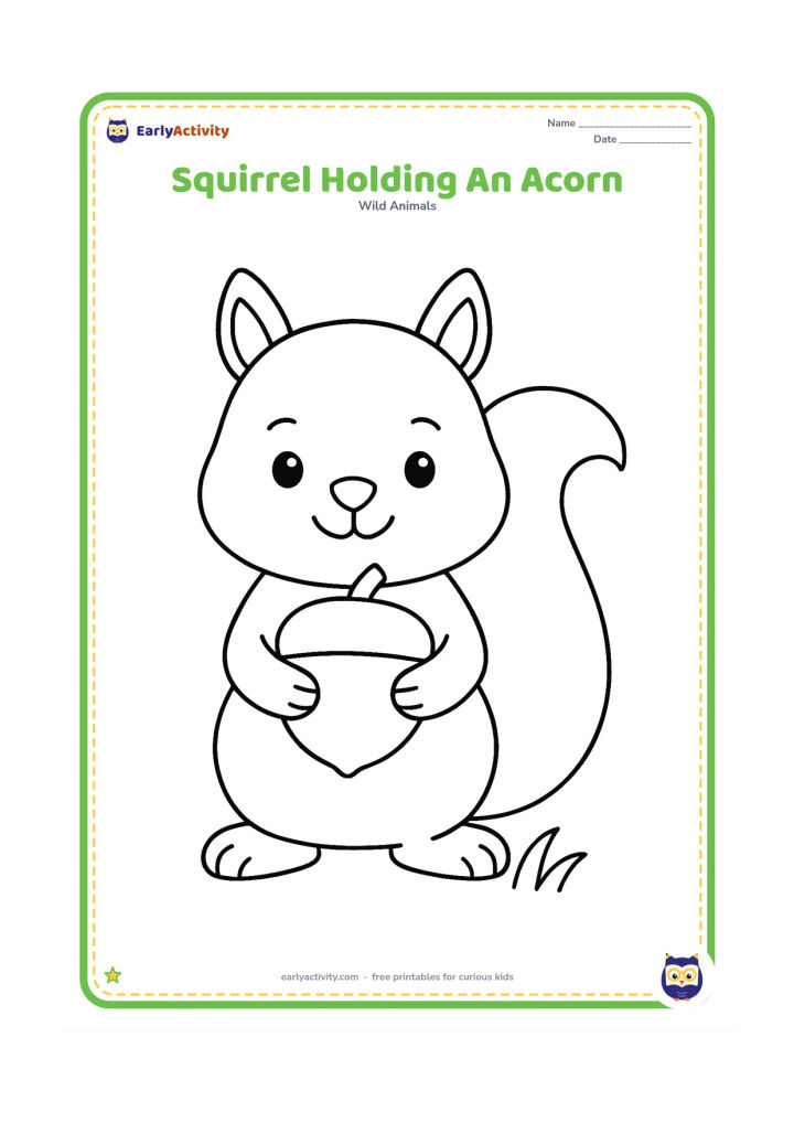 Colouring page: Draw a front-facing squirrel standing upright and holding one oversized acorn with both paws. Add a small patch of grass beneath it.