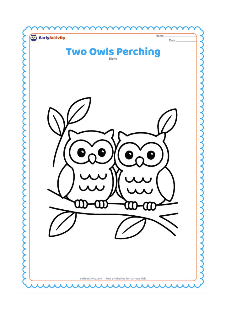 Colouring page: Two friendly owls sit side by side on one broad branch, with a few large leaves framing them on both sides.