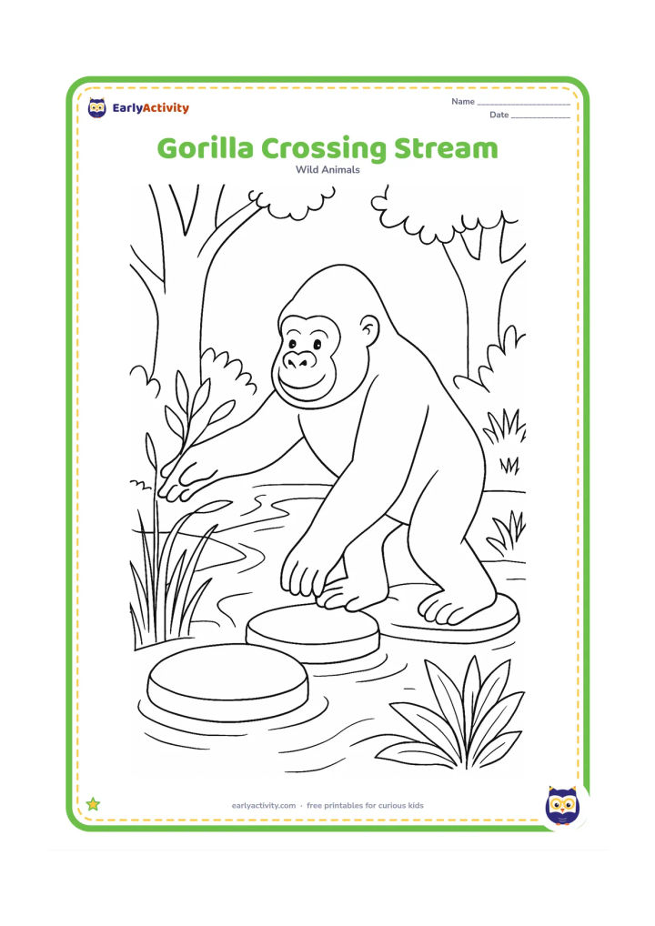 Colouring page: A gorilla carefully steps across three flat stones in a narrow forest stream, with one hand reaching toward a branch. Add reeds and leafy plants along both banks.