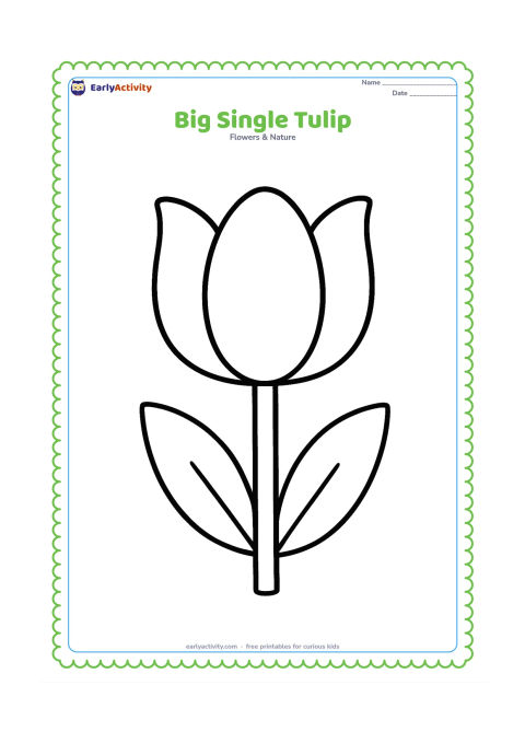 Colouring page: Draw one large cup-shaped tulip with three broad petals, a wide straight stem and two simple leaves. Leave the background completely open for easy colouring.