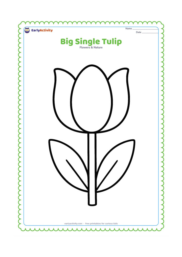 Colouring page: Draw one large cup-shaped tulip with three broad petals, a wide straight stem and two simple leaves. Leave the background completely open for easy colouring.