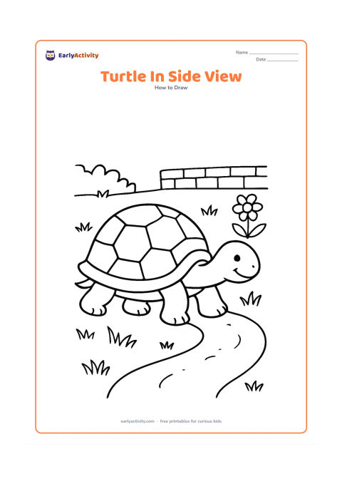 Worksheet: Show a turtle walking left in a clear side view, with the shell, visible legs, head and tail connected naturally. Add a winding dirt path, grass, a flower and a low garden wall behind it.