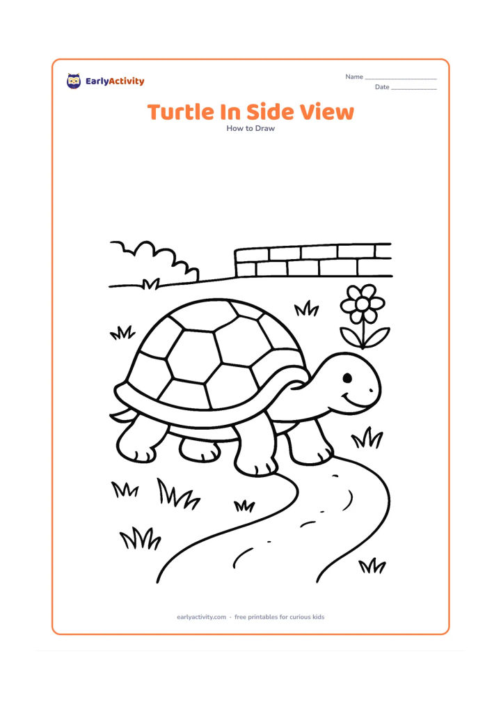 Worksheet: Show a turtle walking left in a clear side view, with the shell, visible legs, head and tail connected naturally. Add a winding dirt path, grass, a flower and a low garden wall behind it.