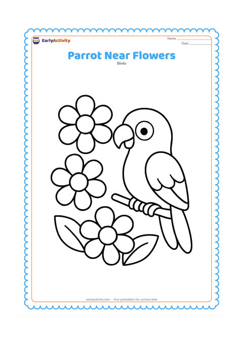 Colouring page: Draw a cheerful parrot perched beside three large simple flowers and two broad leaves. The parrot should face one flower, with its curved beak and rounded wings easy to see.