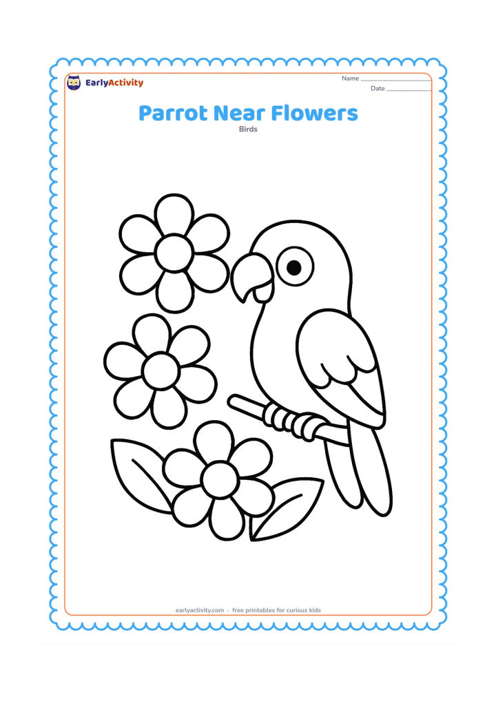 Colouring page: Draw a cheerful parrot perched beside three large simple flowers and two broad leaves. The parrot should face one flower, with its curved beak and rounded wings easy to see.