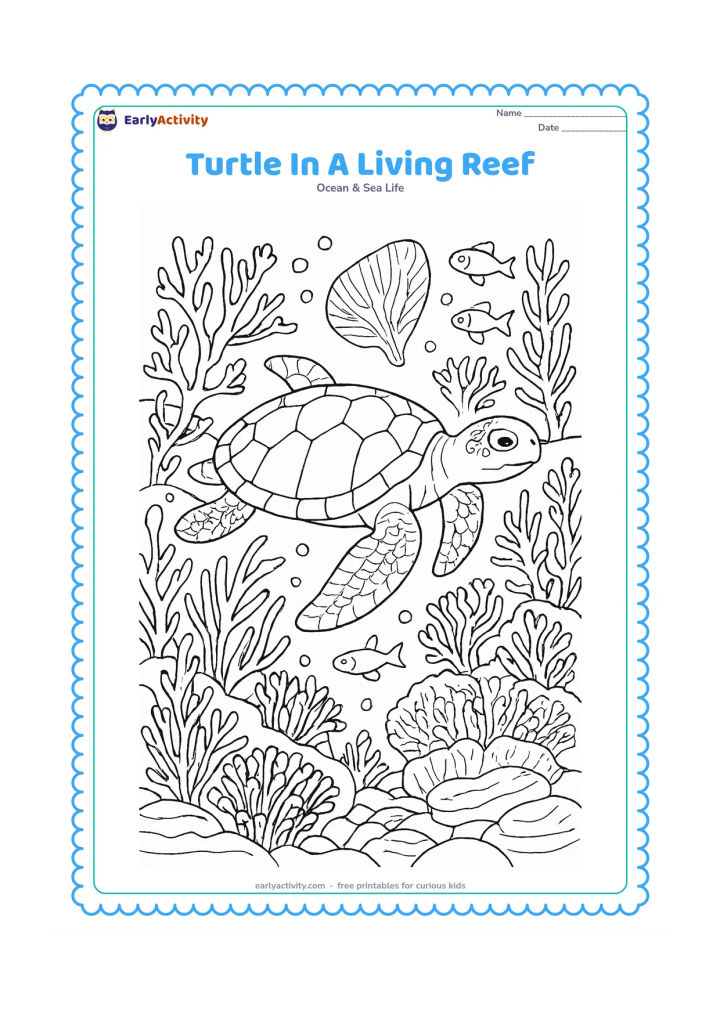 Colouring page: Draw a sea turtle swimming through a detailed coral reef filled with branching coral, fan coral, sea fans, anemones, fish, bubbles, and layered rocks.