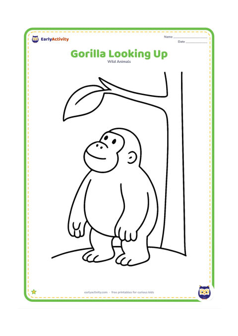 Colouring page: A gorilla stands and looks upward toward one large leaf hanging from a low branch. Include a simple tree trunk and a curved ground line.