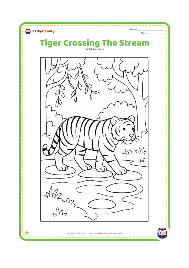 Colouring page: A tiger carefully steps across flat stones in a shallow forest stream. Show its striped body in side view, hanging vines, leafy trees, and a few ripples.
