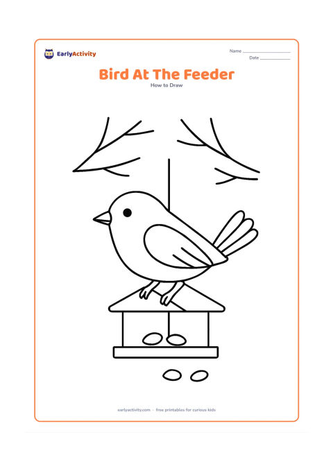 Worksheet: A bird balances on a small hanging seed feeder with a few seeds below it. Draw a rounded body, pointed beak, folded wing, layered tail and gripping feet, with two branches in the background.