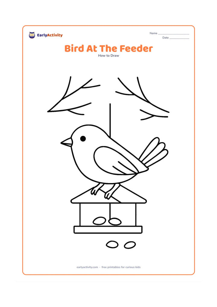 Worksheet: A bird balances on a small hanging seed feeder with a few seeds below it. Draw a rounded body, pointed beak, folded wing, layered tail and gripping feet, with two branches in the background.