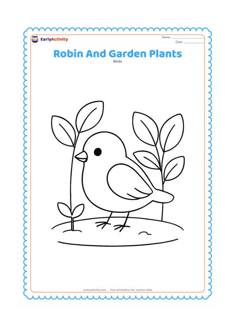 Colouring page: Draw a robin standing between two large garden plants with broad leaves, looking toward a small sprout. Place the scene on a simple patch of soil.