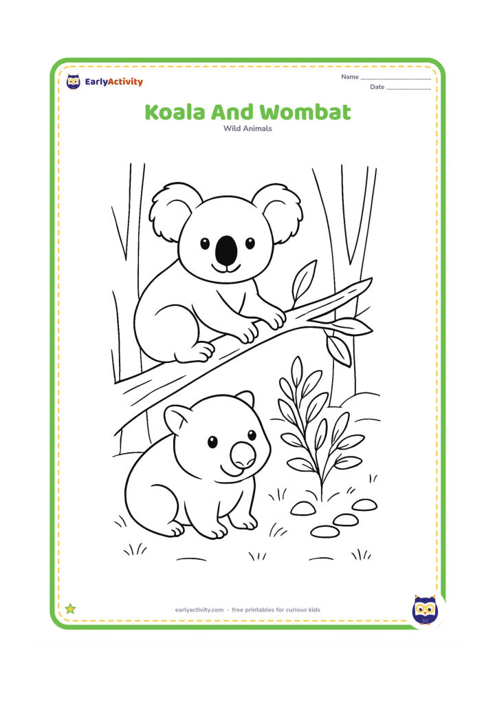 Colouring page: Draw a koala sitting on a low branch while a friendly wombat rests below beside a small eucalyptus bush. Add grass, stones and a few distant tree trunks.