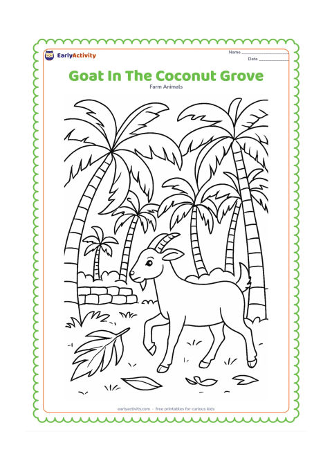 Colouring page: Draw a goat walking through an Indian coconut grove, with several curved palm trunks, large fronds, fallen leaves, and a low stone boundary wall. Show one raised hoof and the goat…