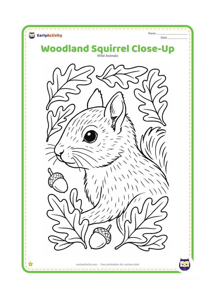 Colouring page: Draw a detailed close-up portrait of a squirrel facing sideways, showing its eye, whiskers, pointed ears, textured fur, and large sweeping tail. Frame it with oak leaves and acorns.