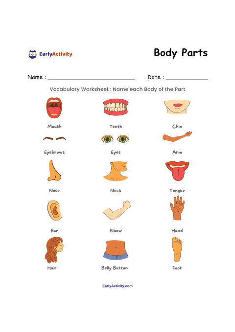 Worksheet showing labelled pictures of body parts, including a mouth, teeth, chin, eyebrows, eyes, arm, nose, neck, tongue, ear, elbow, hand, hair, belly button and foot.