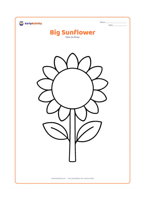 Worksheet: A front-facing sunflower with a large circular centre and a ring of big rounded petals, attached to a thick stem with two leaves. Keep the whole flower large and centred.