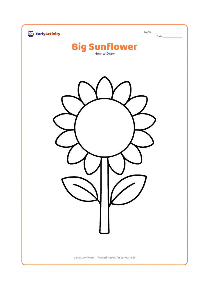 Worksheet: A front-facing sunflower with a large circular centre and a ring of big rounded petals, attached to a thick stem with two leaves. Keep the whole flower large and centred.