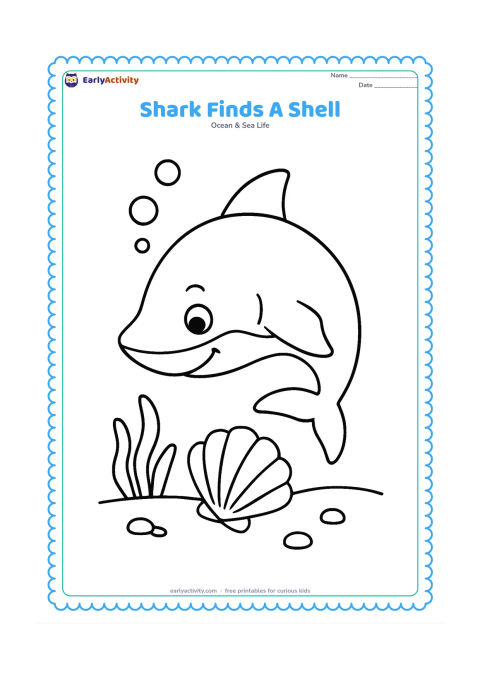 Colouring page: A curious shark looks down at one oversized seashell on the ocean floor, with a few bubbles and short seaweed leaves nearby. Place the shark in a gentle curved pose.