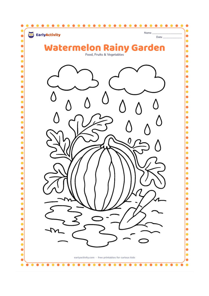 Colouring page: Draw a whole watermelon growing on a vine in a garden after rain, with large raindrops, puddles, leaves and a small garden tool. Add a simple cloudy sky.