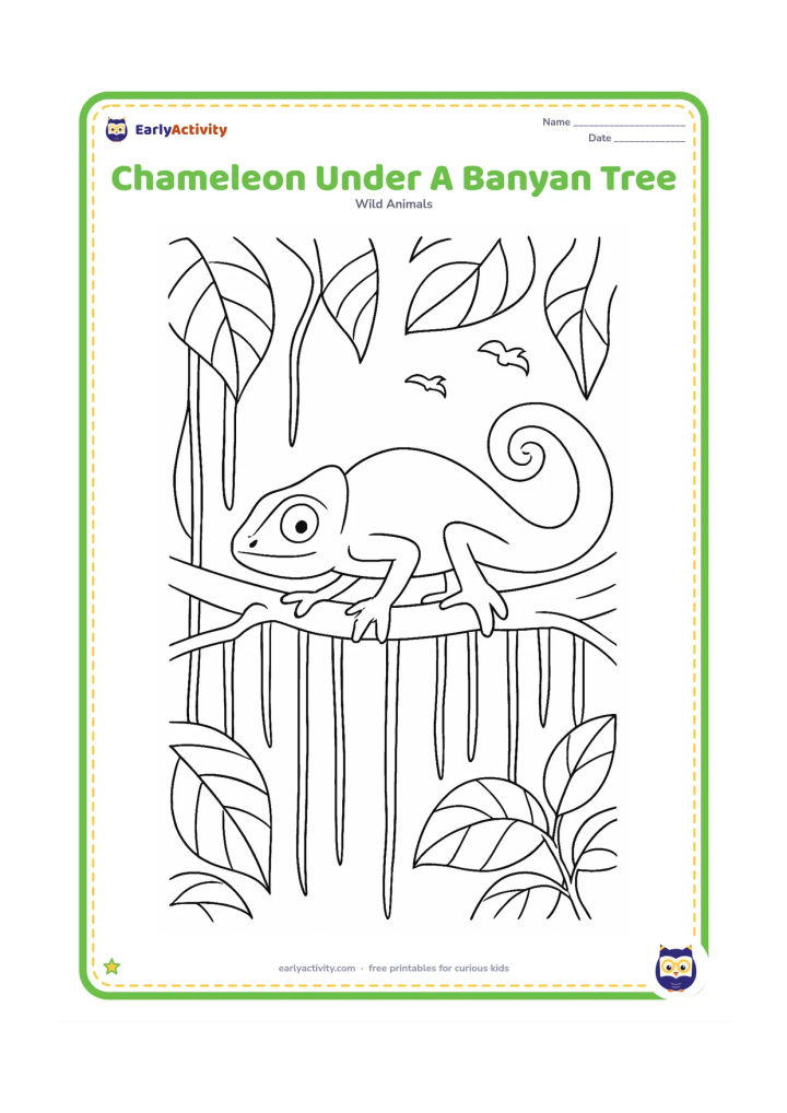 Colouring page: A chameleon moves along a banyan branch surrounded by hanging aerial roots, large leaves and a few small birds in the distant background. Show its gripping toes and curled tail.
