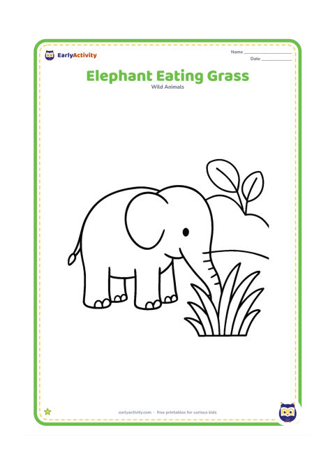 Colouring page: Draw one elephant bending its trunk toward a thick clump of grass. Add two broad leaves and a low, rounded hill behind it.