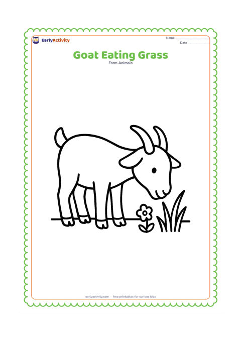 Colouring page: Draw a large goat bending its head down to nibble three tall grass blades, with its lips near the grass. Include only a low ground line and one small flower.